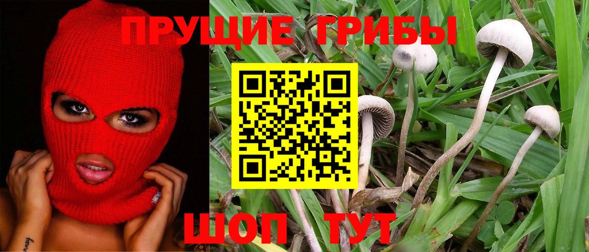 Галлюциногенные грибы Magic Shrooms Сызрань